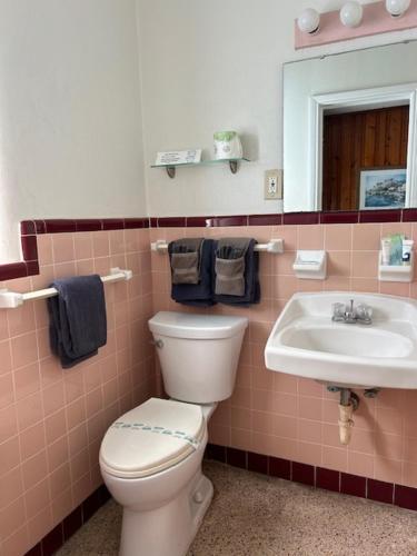 Seahorse Inn - photo 36