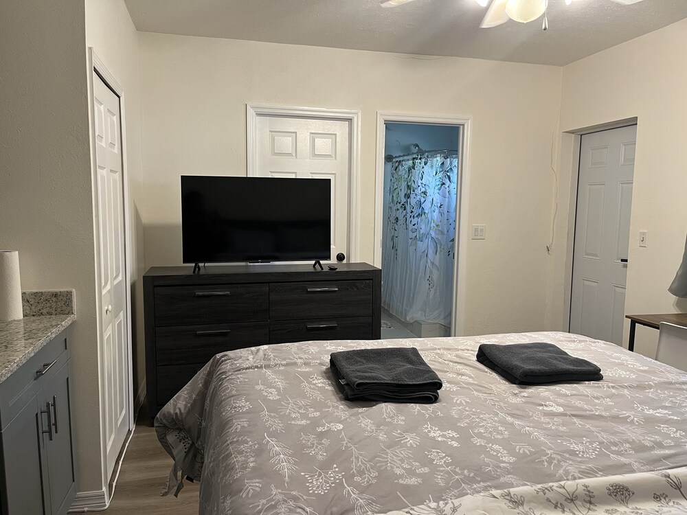 ZenHomes in Brandon near Tampa & Valrico - photo 5