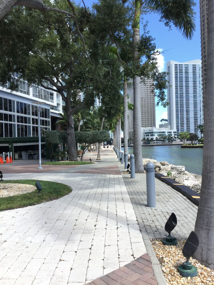 Icon Brickell Downtown Miami - photo 66