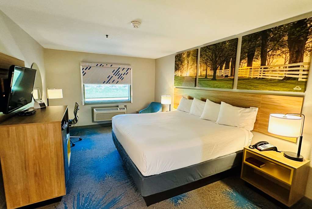 Days Inn & Suites by Wyndham Wynne - photo 13