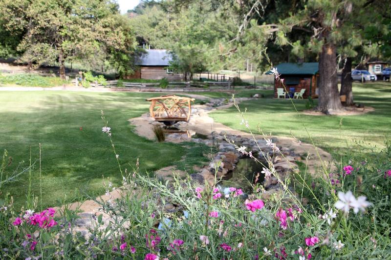 The Davies Family Inn - photo 8
