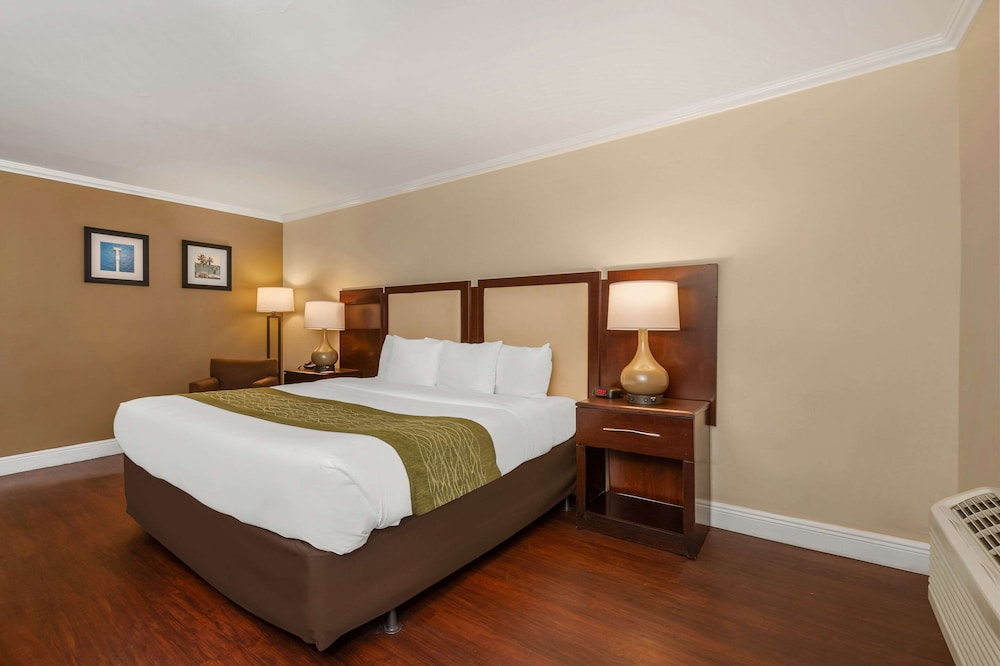 Comfort Inn Oceanside Deerfield Beach - photo 28