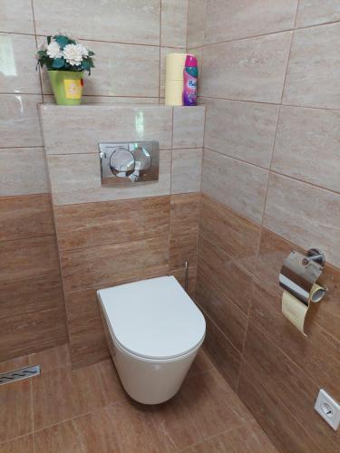 Gyöngyi Apartman — Balatonszarszo — photo 4