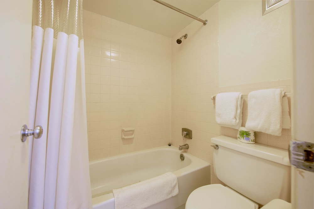 OYO Hotel Doswell Kings Dominion - photo 16