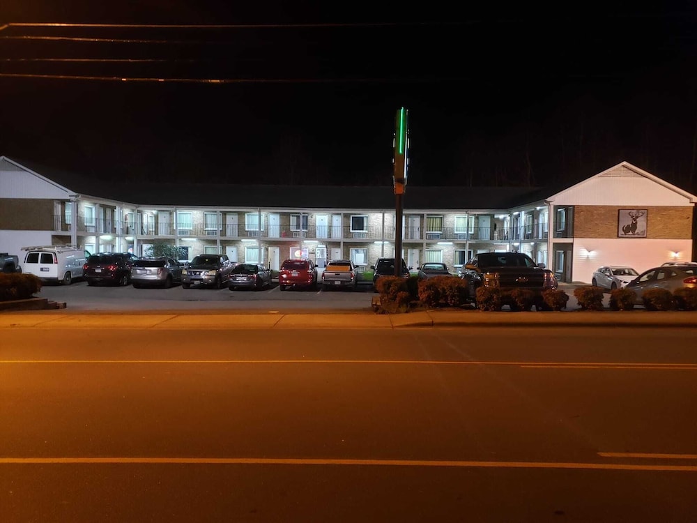 Elk Inn - photo 14