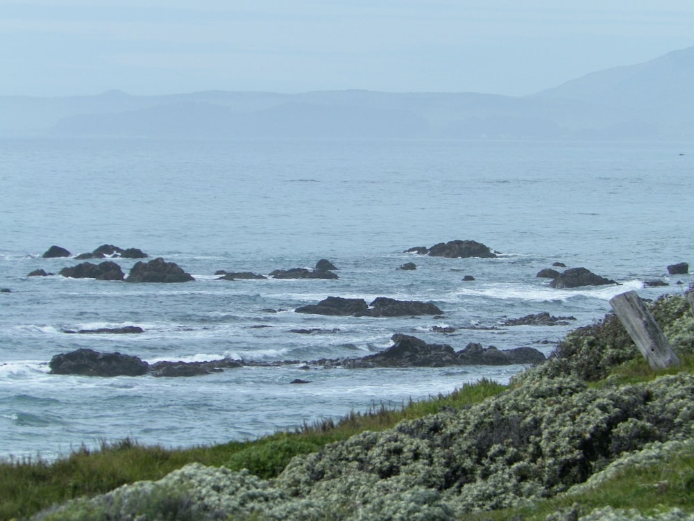Sea Otter Inn - photo 49