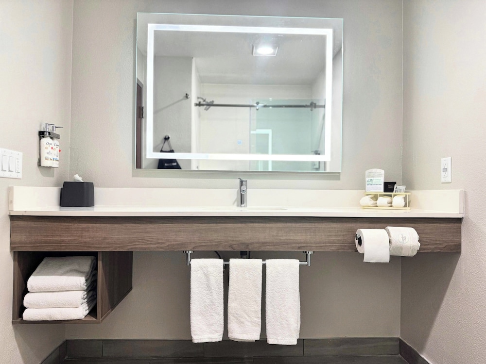 Holiday Inn Express & Suites St Joseph by IHG - photo 51