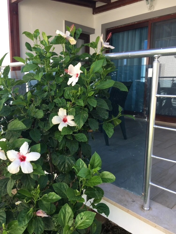 Parilti Otel - carbon neutral hotel in Bodrum