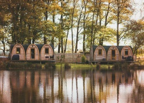 Blossom Plantation in Alnwick, United Kingdom