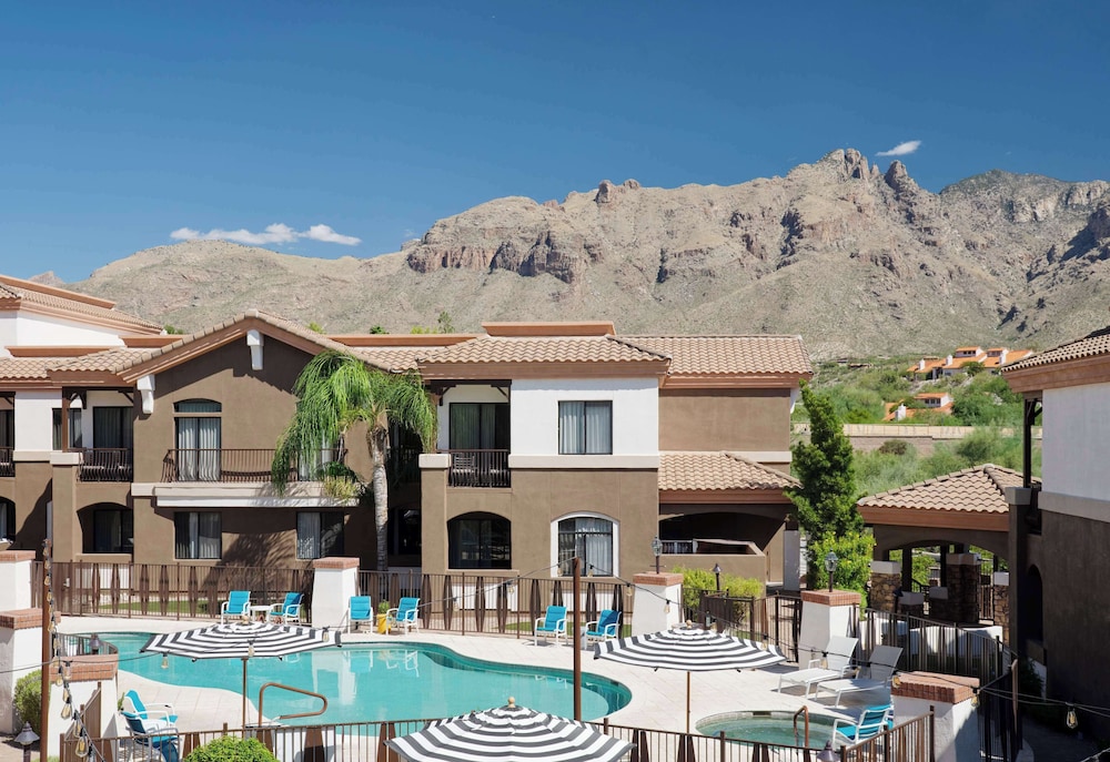 Embassy Suites by Hilton Tucson Paloma Village - photo 19