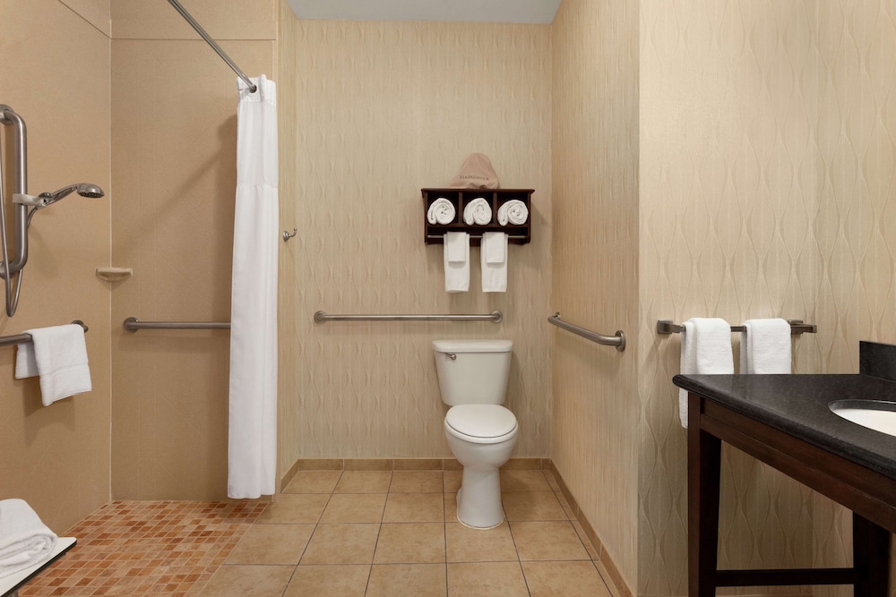 Hampton Inn Sulphur Springs - photo 26