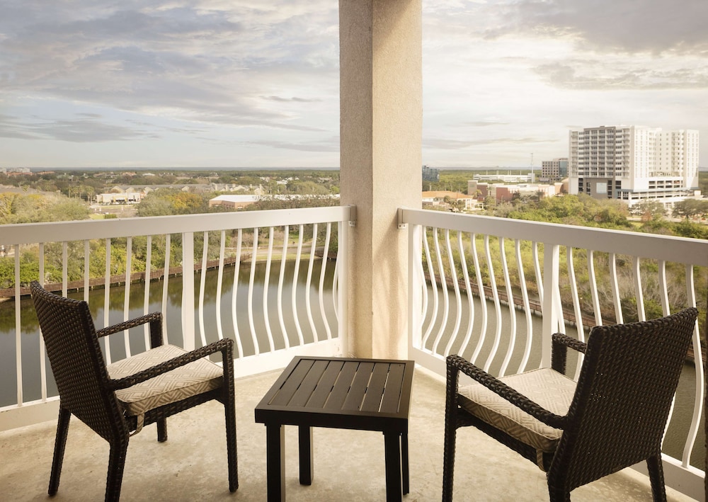 Hilton St. Petersburg Carillon Park - photo 20