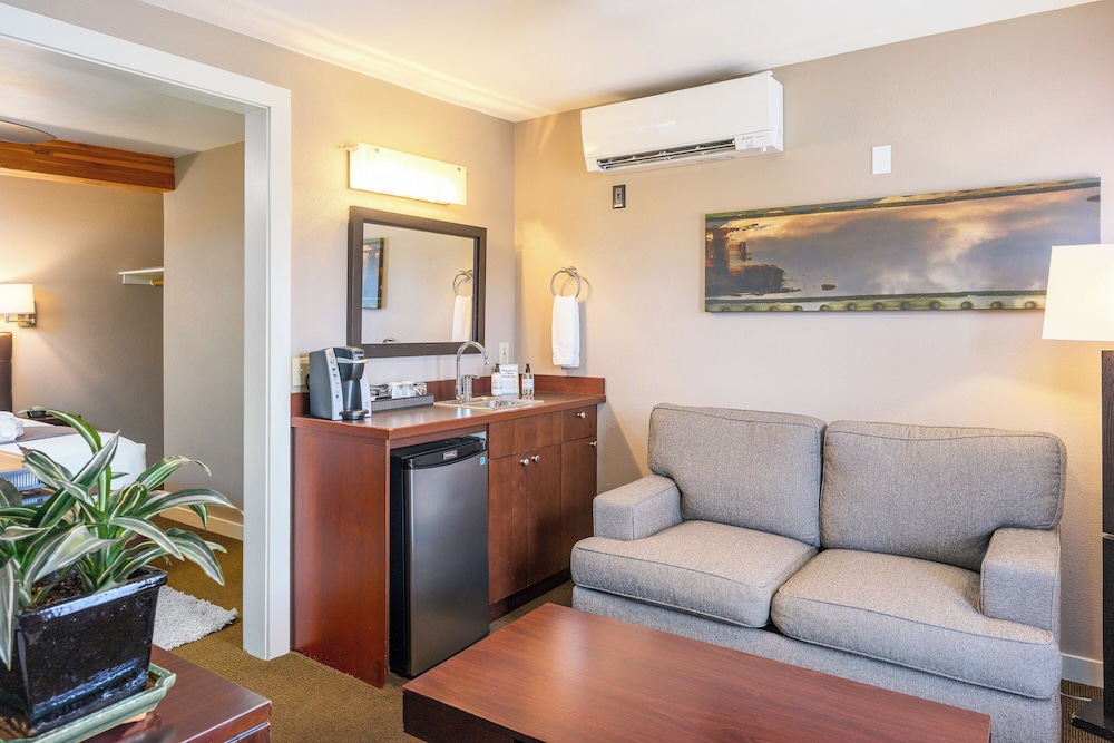 Bird Rock Hotel - photo 23