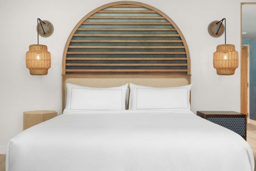 The Hiatus Clearwater Beach Curio Collection By Hilton - photo 20