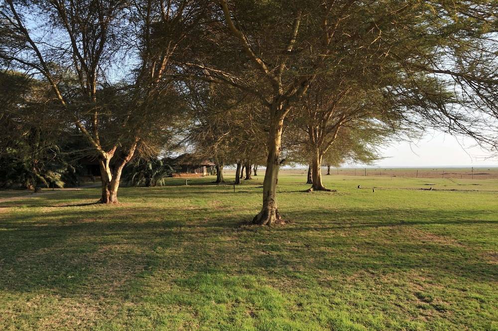 Children's play area - outdoor