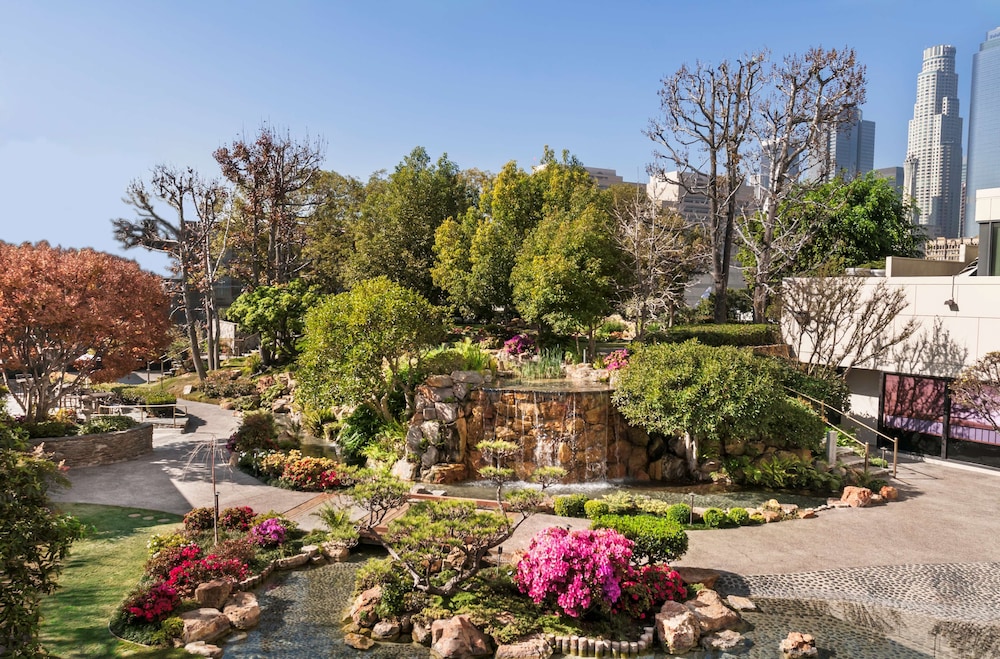 מראה חיצוני