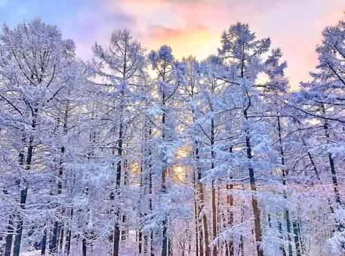 Resort Project Myoko Kogen in Myoko, Japan