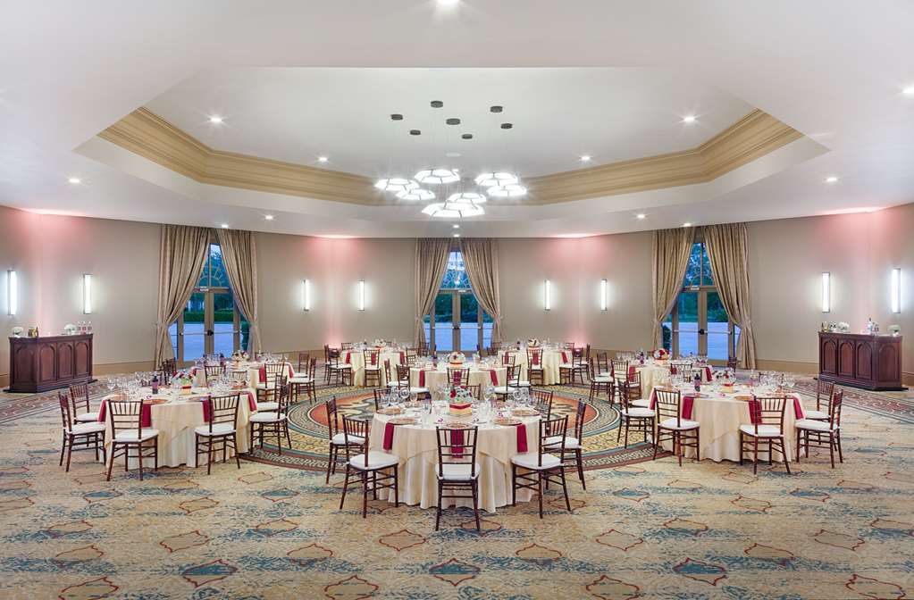 Rosen Shingle Creek - photo 127