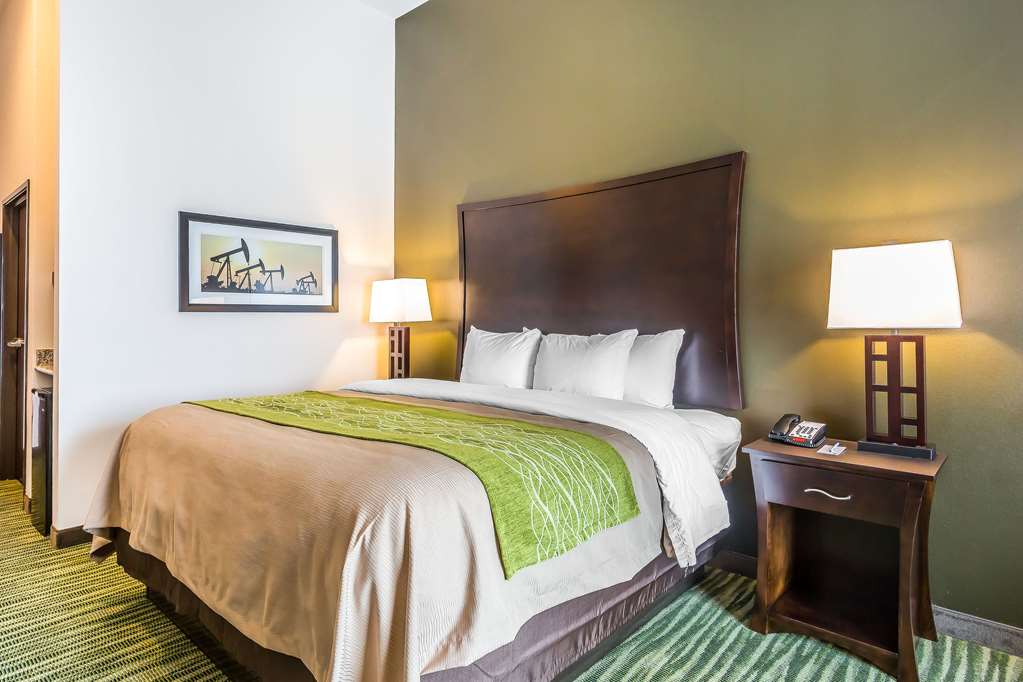 Comfort Inn & Suites Moore Oklahoma City - photo 11