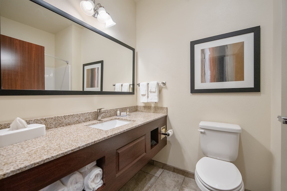 Cobblestone Hotel & Suites Austin - photo 36