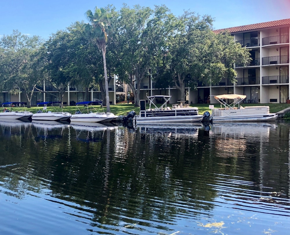 Vista Inn Lake Tarpon - photo 45