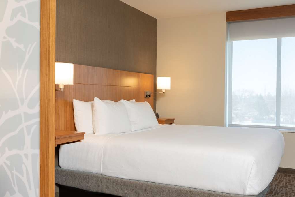 Hyatt Place Detroit Royal Oak - photo 39