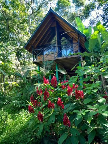 Cabana com Cachoeira Privativa - last minute hotel in Unknown City