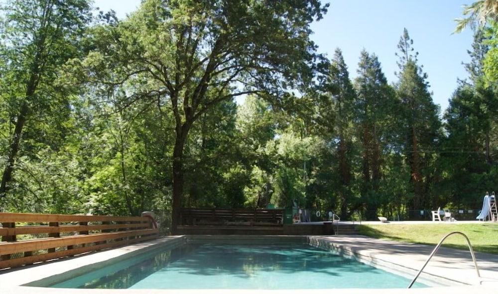 Pine Grove - photo 16