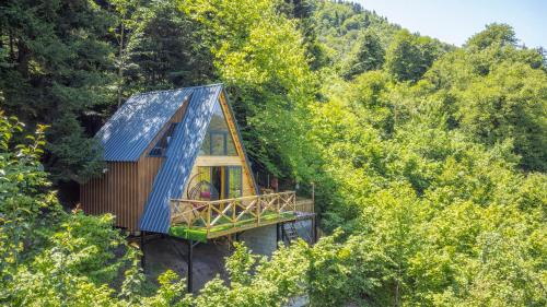 Forest House