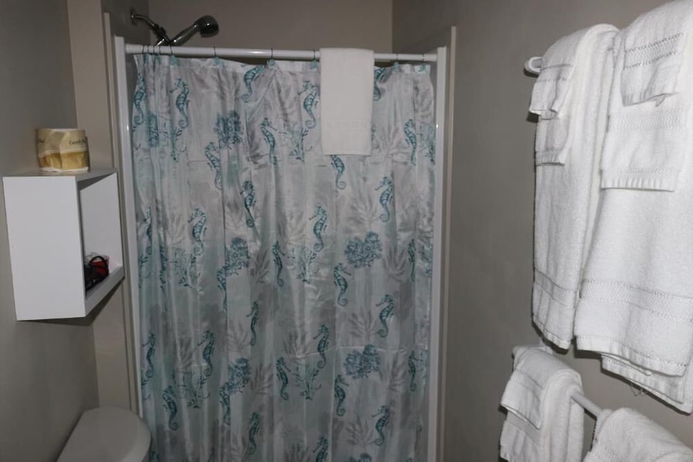 The Lowtide Motel - photo 45