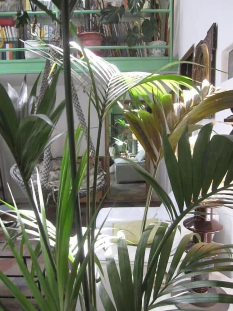 Il Camaleonte in Bracciano, Italy