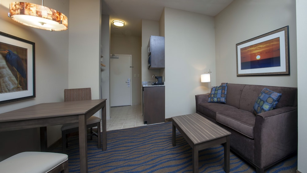 Holiday Inn Express Hotel & Suites Morgan City Tiger Island by IHG - photo 12