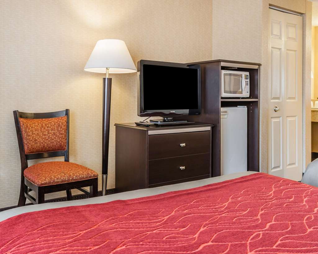 Comfort Inn On the Bay - photo 9