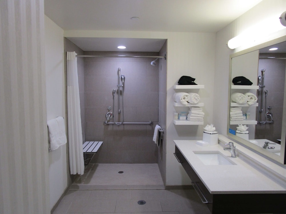 Hampton Inn & Suites Artesia - photo 20