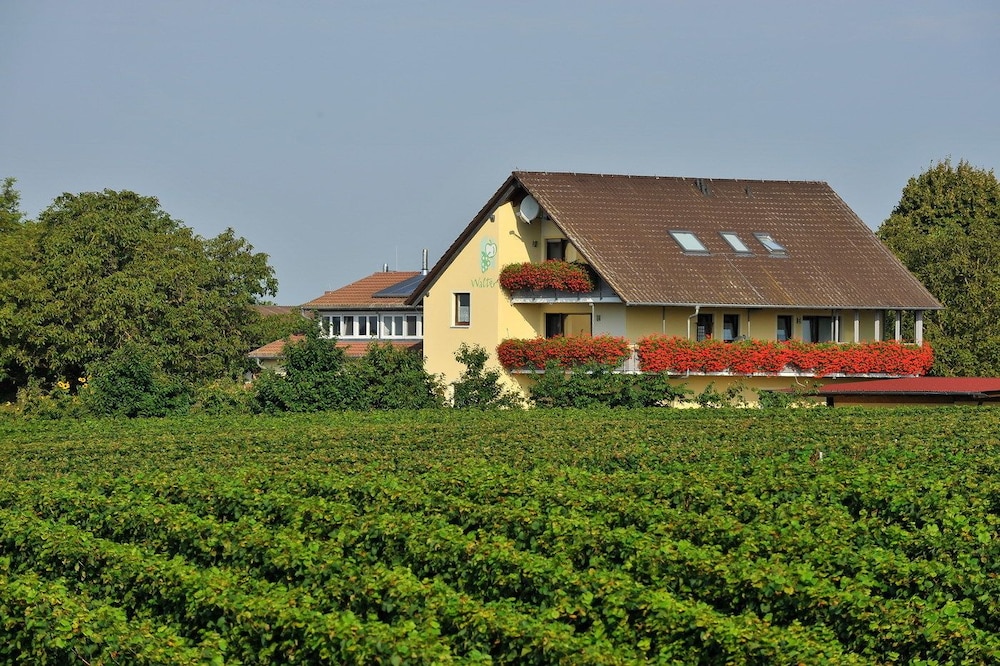 Ferienhof Walter - last minute hotel in Freiburg