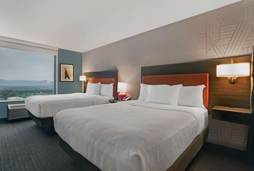 Home2 Suites Asheville Airport - photo 15