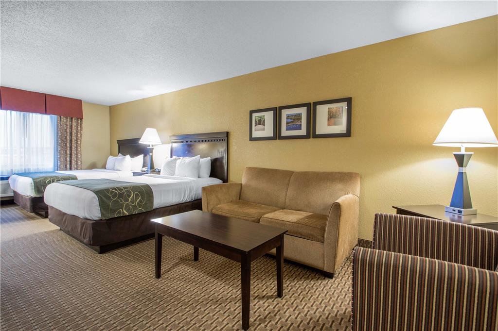 Comfort Suites Wisconsin Dells Area - photo 15