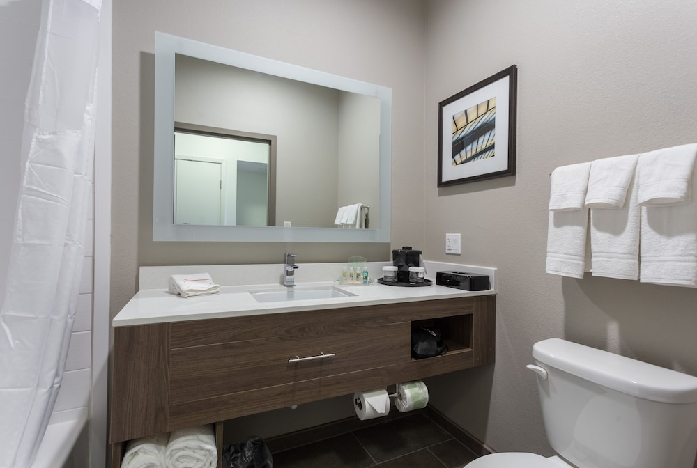 Holiday Inn San Marcos Convention CTR Area by IHG - photo 20