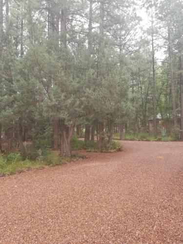 Northwoods Resort Cabins - photo 24