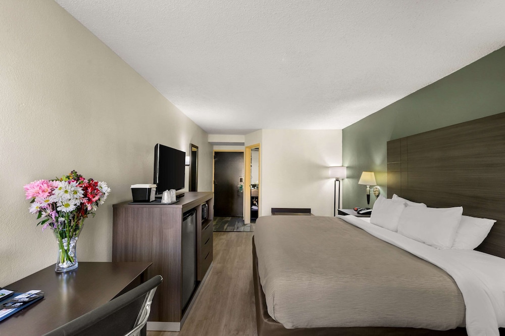 Quality Inn & Suites North Little Rock - photo 11