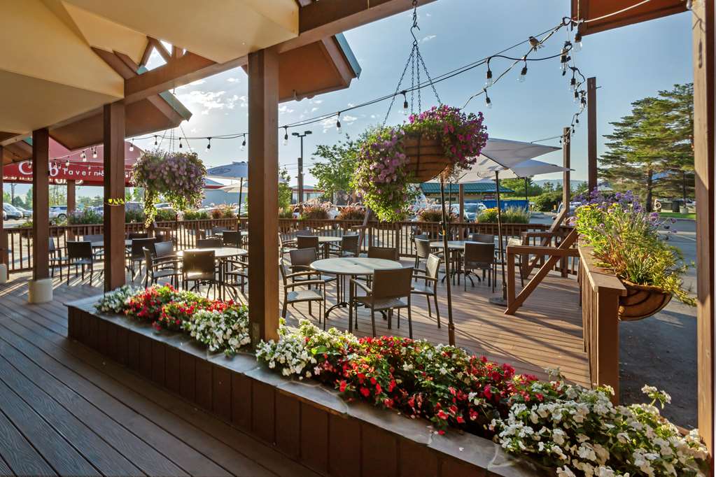Best Western Plus GranTree Inn - photo 8
