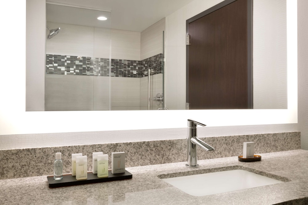 Embassy Suites by Hilton Atlanta NE Gwinnett Sugarloaf - photo 16