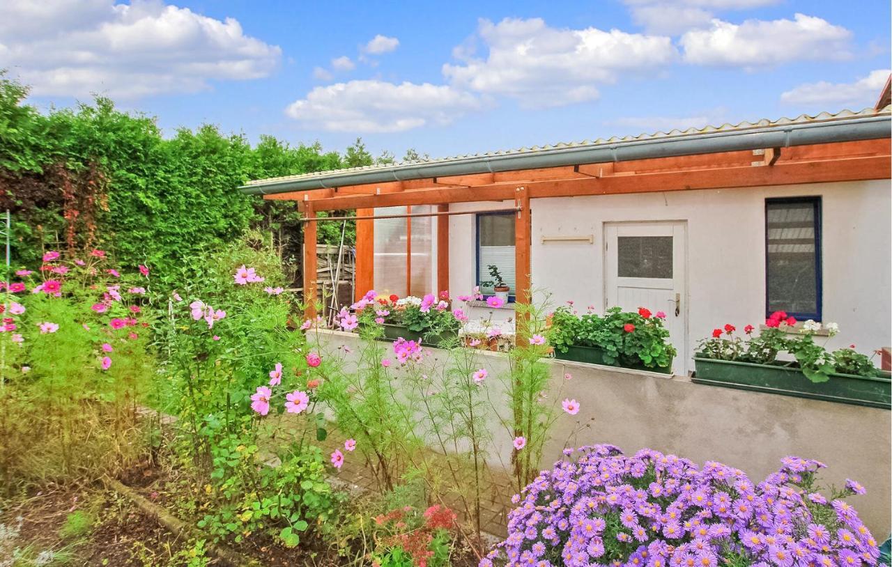 Ferienhaus Waren Müritz - last minute hotel in Waren