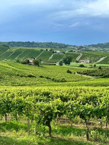 Bricco Aivè — 4-Star Luxury Hotel in Costigliole D'asti, Italy