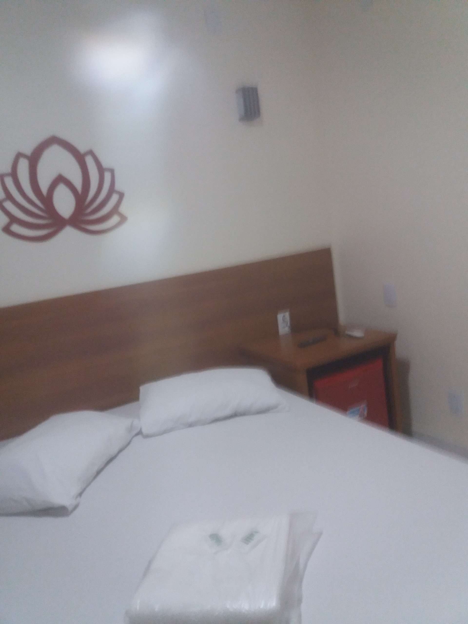 Hotel Athenas — Manaus — photo 4