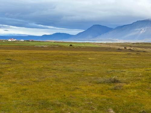 Selið Farm Stay Guesthouse