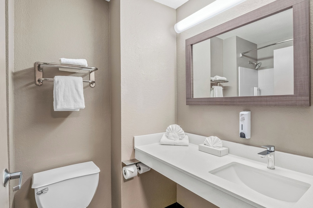 Red Roof Inn Southfield - photo 27