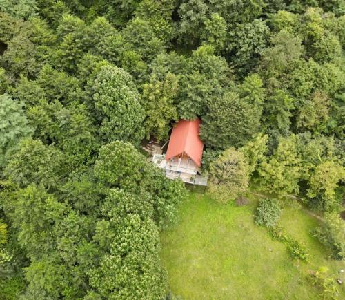 Cottage Sataplia