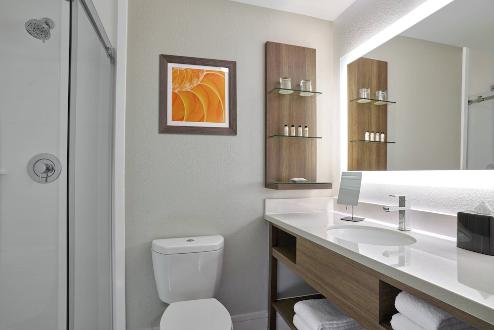 Delta Hotels by Marriott Chicago Willowbrook - photo 12