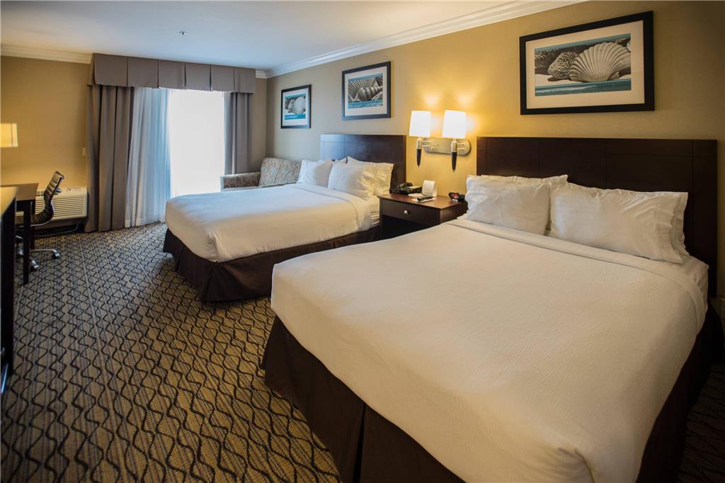 The Volare an Ascend Collection Hotel - photo 13